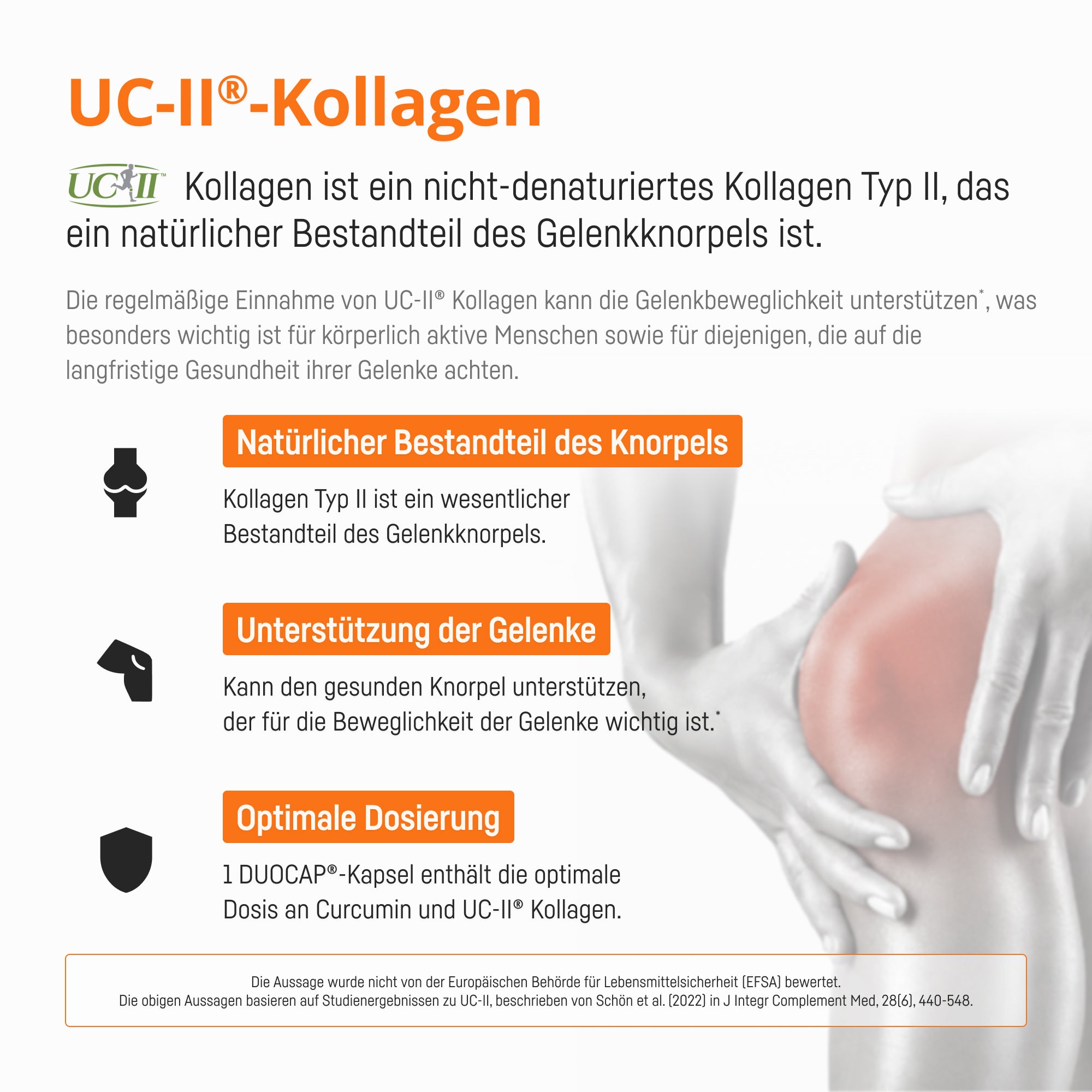 Bio Medical Pharma Curcumin Capsules with Collagen – Licur Flex II