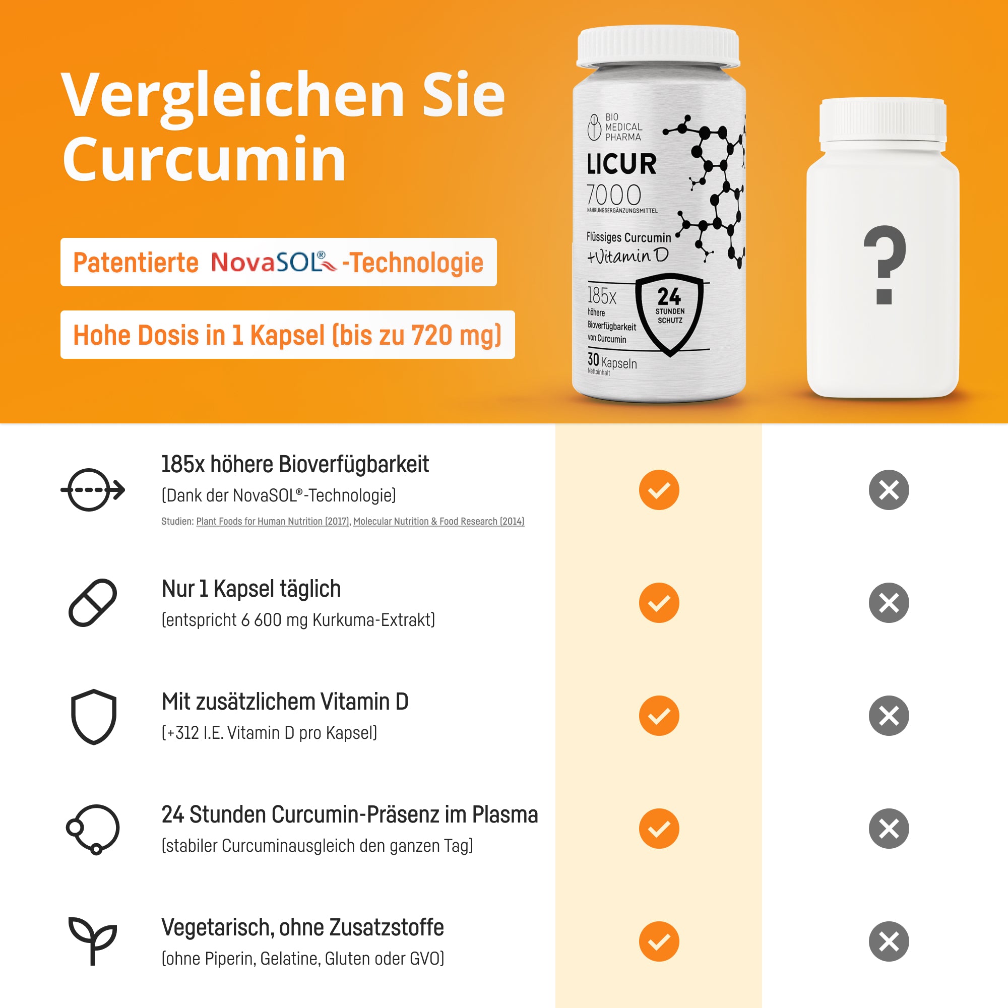 Bio Medical Pharma Curcumin Capsules with Vitamin D – Licur 7000