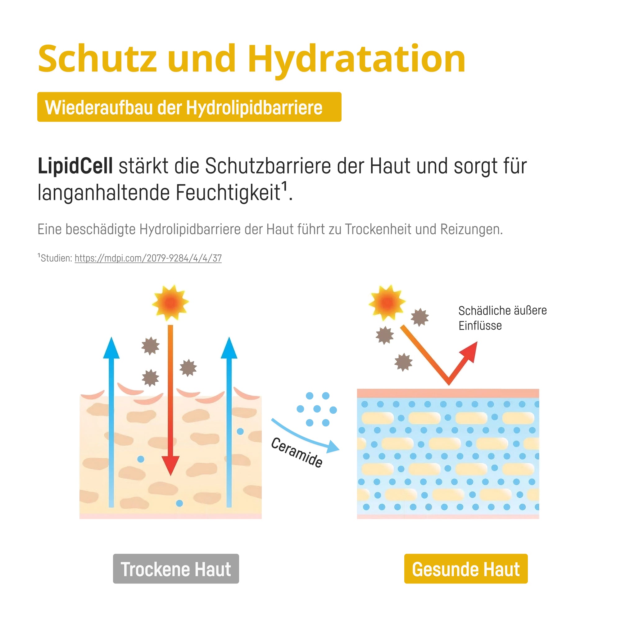 Bio Medical Pharma Squalene and Ceramides with Vitamins A & E – LipidCell