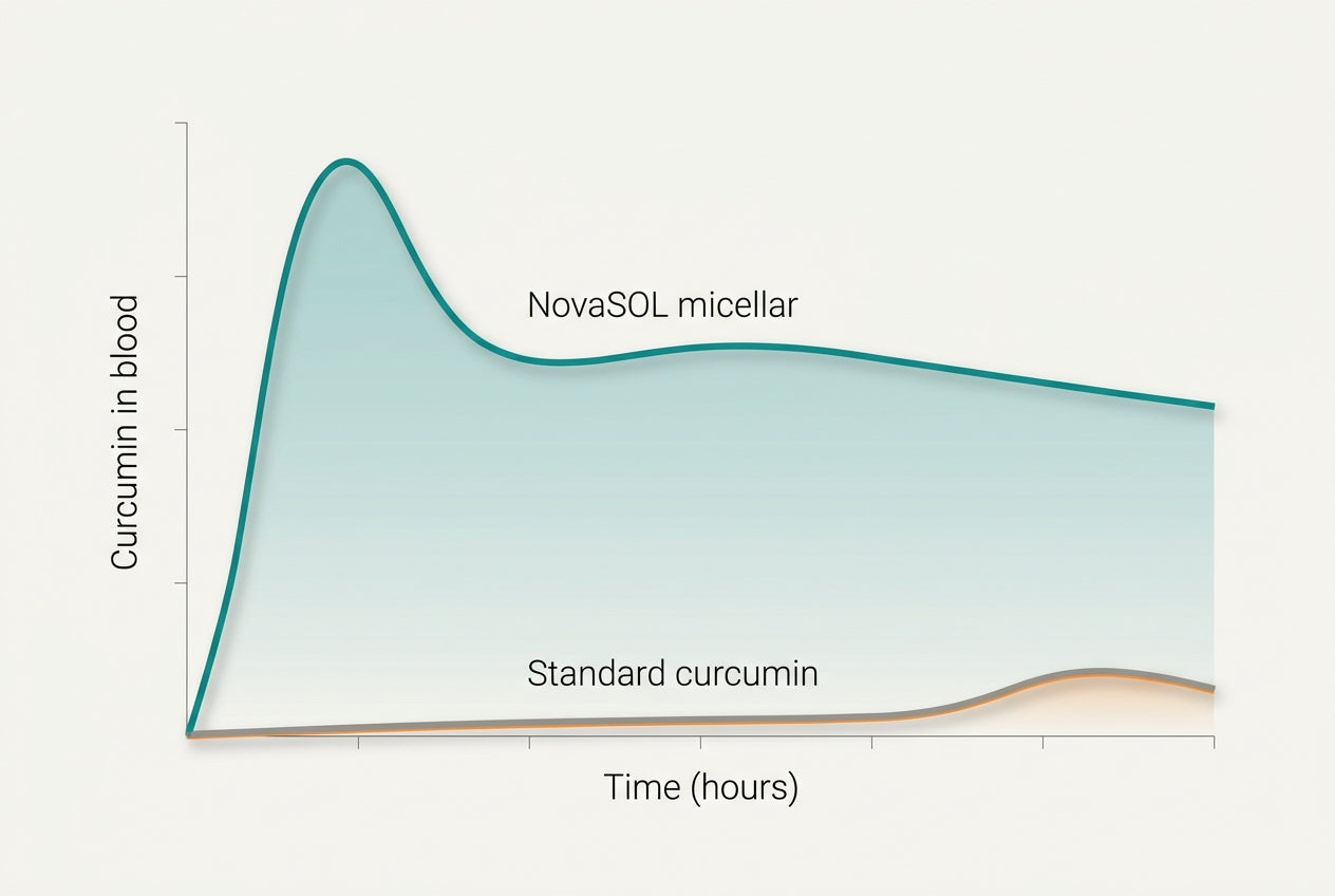 Pharmacokinetic curve NovaSOL micellar versus standard curcumin