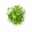 AnaGain™ Nu — ingredient reference