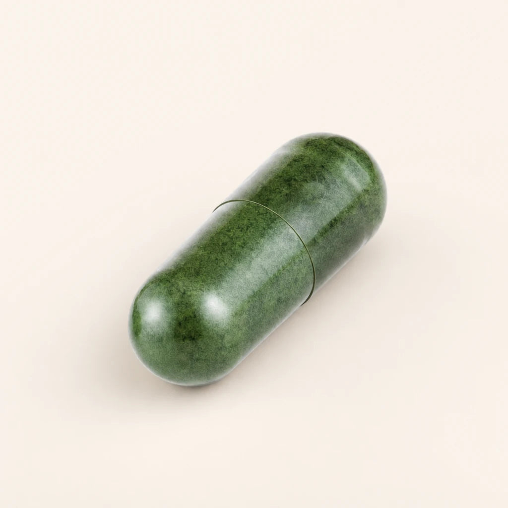 A close look at the capsule itself